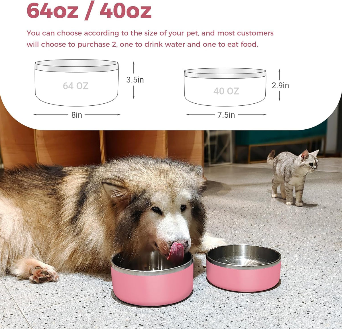 Dog Bowl, Stainless Steel Dog Food and Water Bowl with Non Slip Quiet Bottom, Easy to Clean