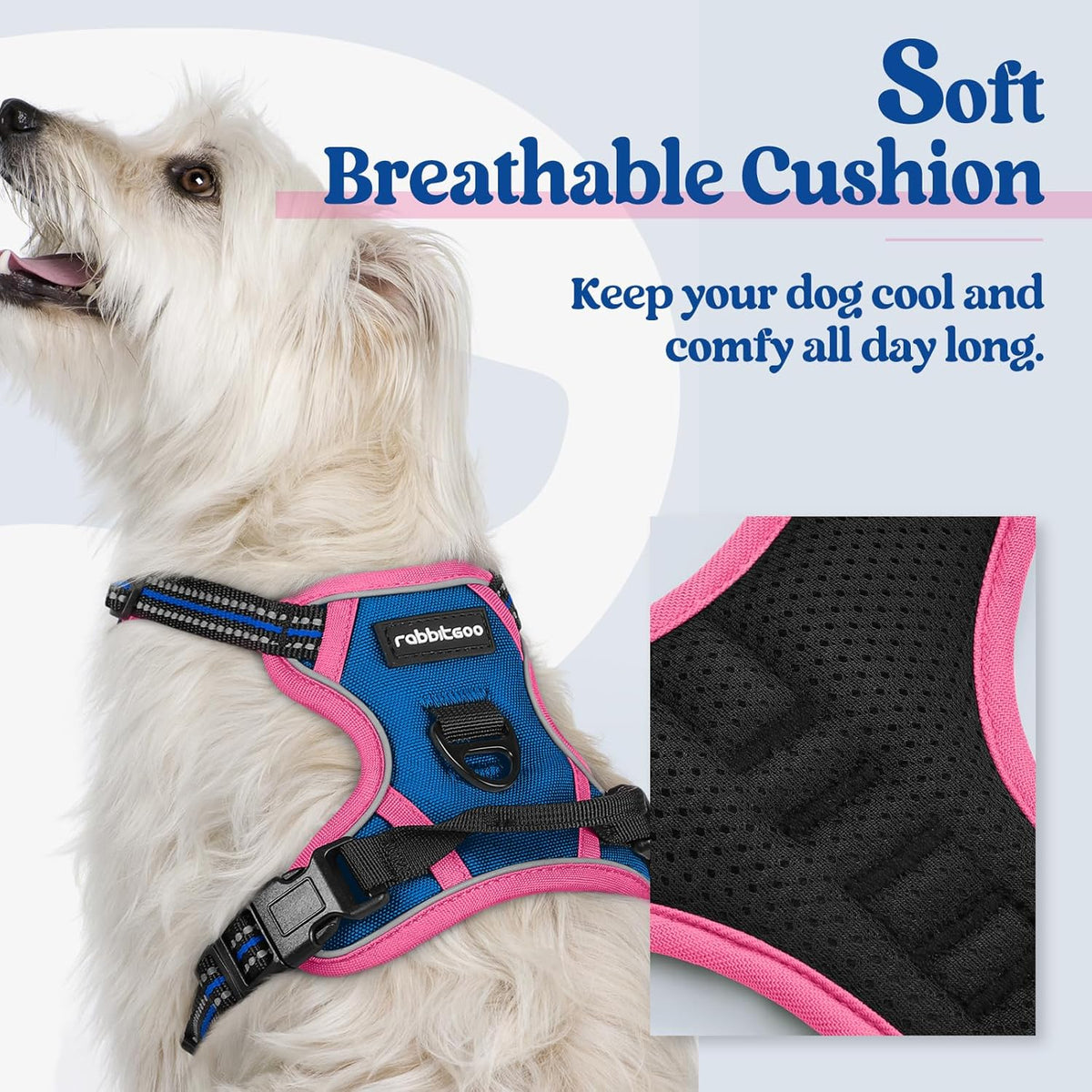 rabbitgoo Dog Harness No Pull with 2 Leash Clips, Adjustable Soft Padded, Reflective Oxford No