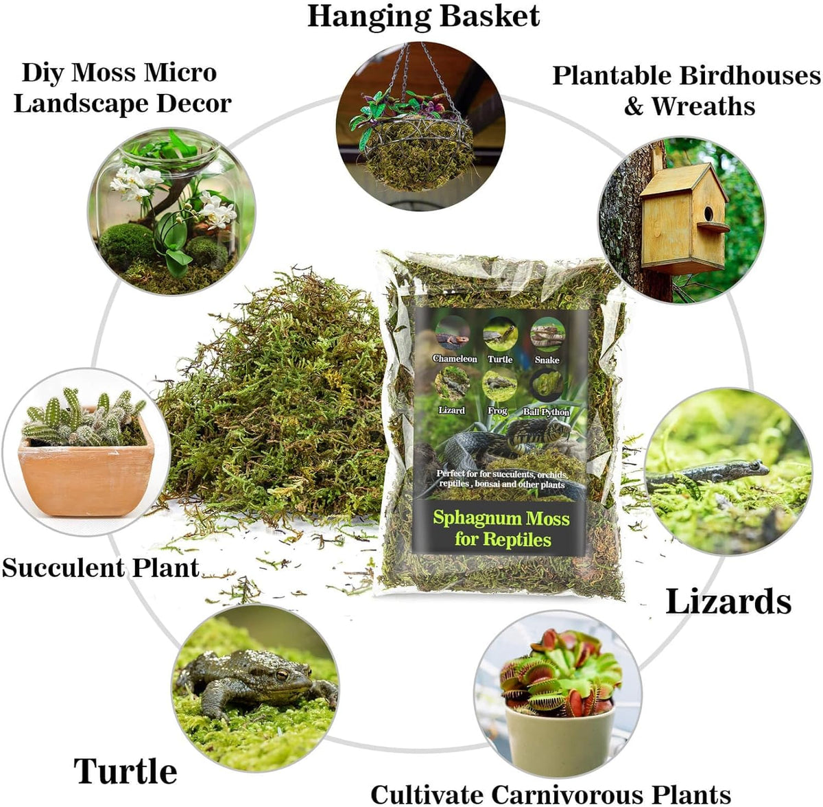 Sukh Sphagnum Moss for Reptiles - Terrarium Reptiles Moss Green Dried Peat Moss Habitat Bedding
