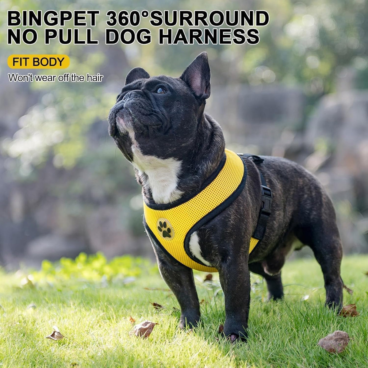 BINGPET No Pull Dog Harness,Soft Mesh Breathable All Weather Vest Harness,Safety Protection Design