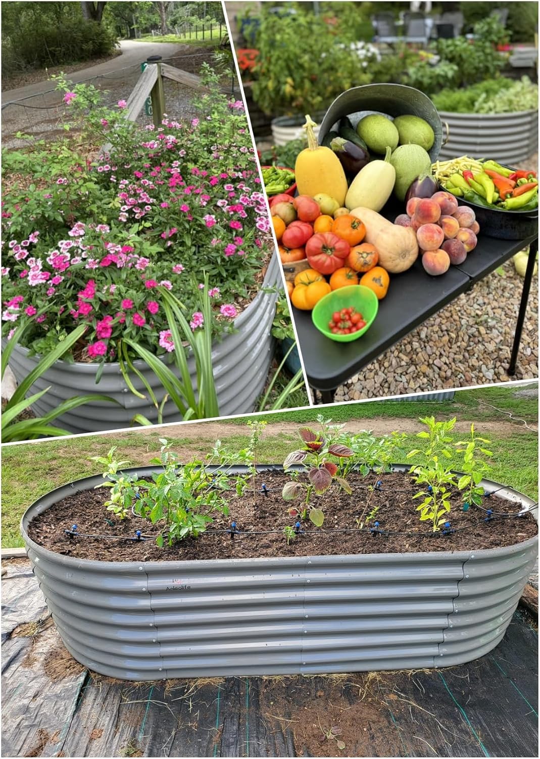 A ANLEOLIFE 8X4X2 ft Galvanized Raised Garden Beds Outdoor, Oval Large Metal Deep Root Planter Box