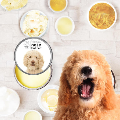 The Blissful Dog Goldendoodle Nose Butter for Dry, Cracked Skin, Lick-Safe Dog Nose Balm with