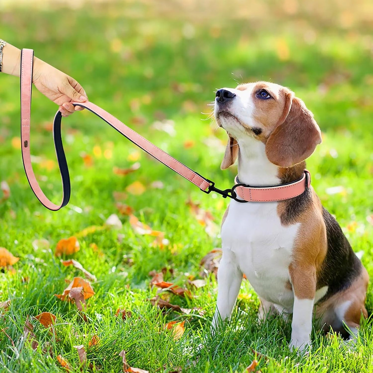 Didog Soft Padded Leather Dog Collar and Leash Set,Pink Breathable Pet Collars with 4FT PU Leather