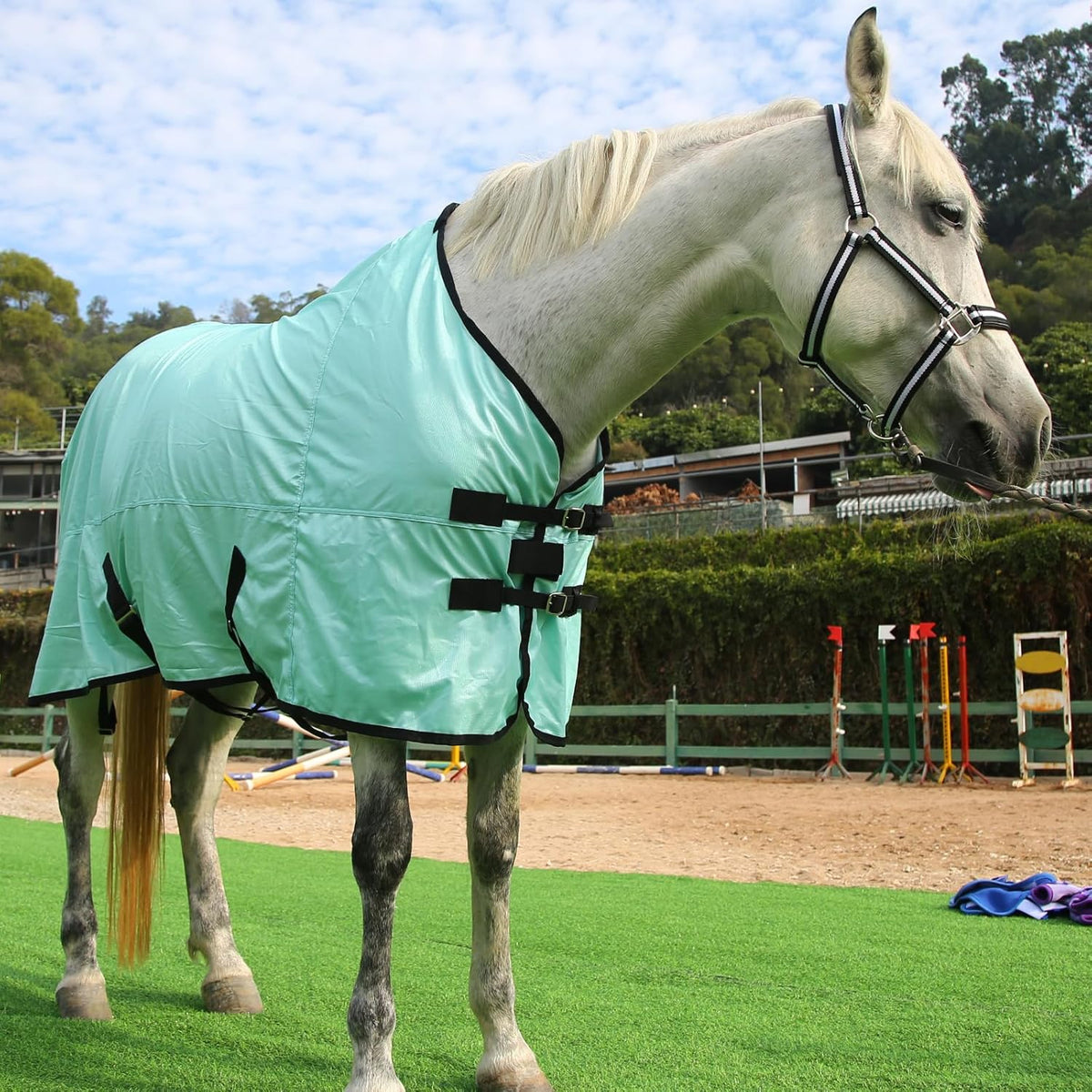 Horse Fly Sheet, Standard Neck Comfy Mesh Fly Sheet for Horses, Equine Summer Sheets UV-Protective