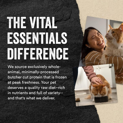 Vital Essentials Rabbit Bites Cat Treats, 0.9 oz | Freeze-Dried Raw | Single Protein | Grain Free