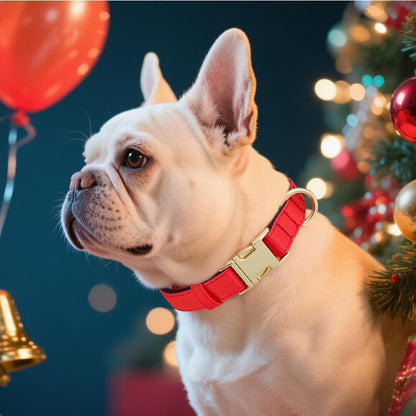 Didog Soft Padded Dog Collars for Medium Dogs, Colorful and Durable Dog Collar with Quick Release