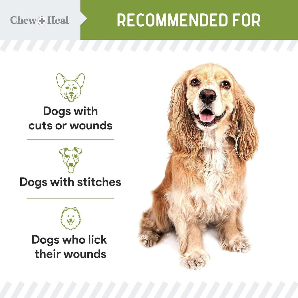 Pet Liquid Bandage for Dogs - 8 oz Spray with Aloe - Wound Care for Dogs Including Cuts, Scrapes