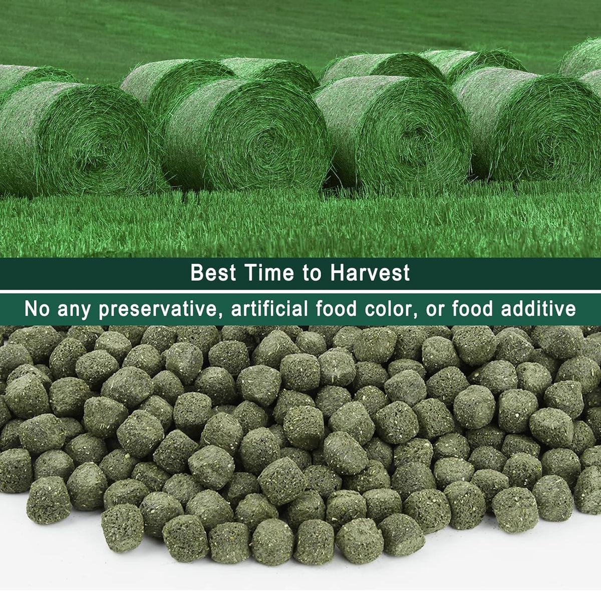 Timothy Hay Cubes 11 oz -100% Natural Timothy Hay Made for Rabbits Sulcata Tortoise Guinea Pig, 11