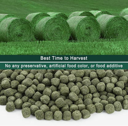 Timothy Hay Cubes 10 oz with Small Size - Timothy Grass Pellets for Tortoises Rabbits Guinea Pig