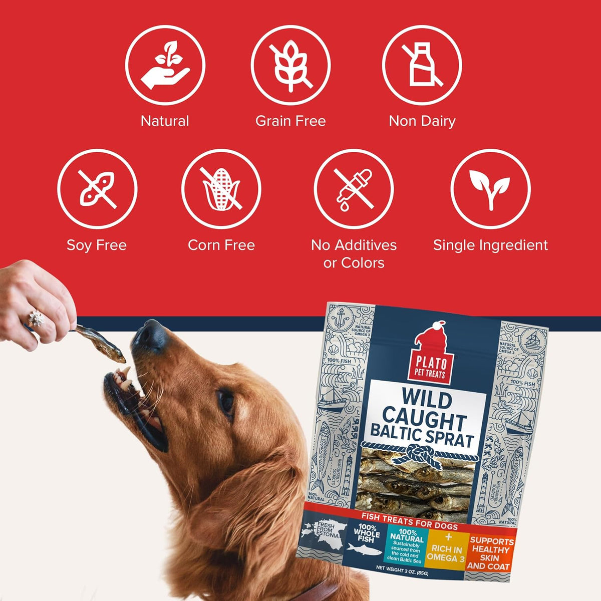 PLATO Pet Treats Fish Dog Treats - Air-Dried, Single Ingredient Dog Treat - with Omega 3 & 6 Fatty