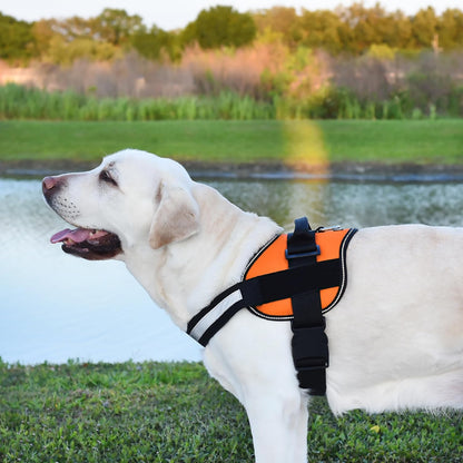 Dogline Dog Harness, Reflective No-Pull Adjustable Vest with Handle for Walking, Training