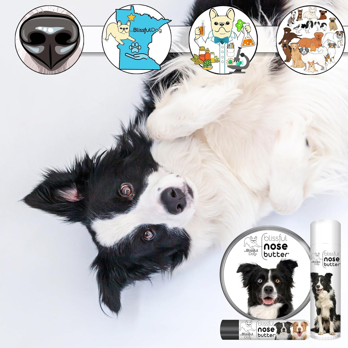 The Blissful Dog Border Collie Nose Butter for Dry, Cracked Skin, Lick-Safe Dog Nose Balm with