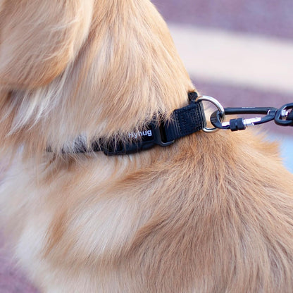 Hyhug Dog Collar with Quick Release Buckle, Heavy Duty Nylon, Basic Collar for Medium Dogs Daily