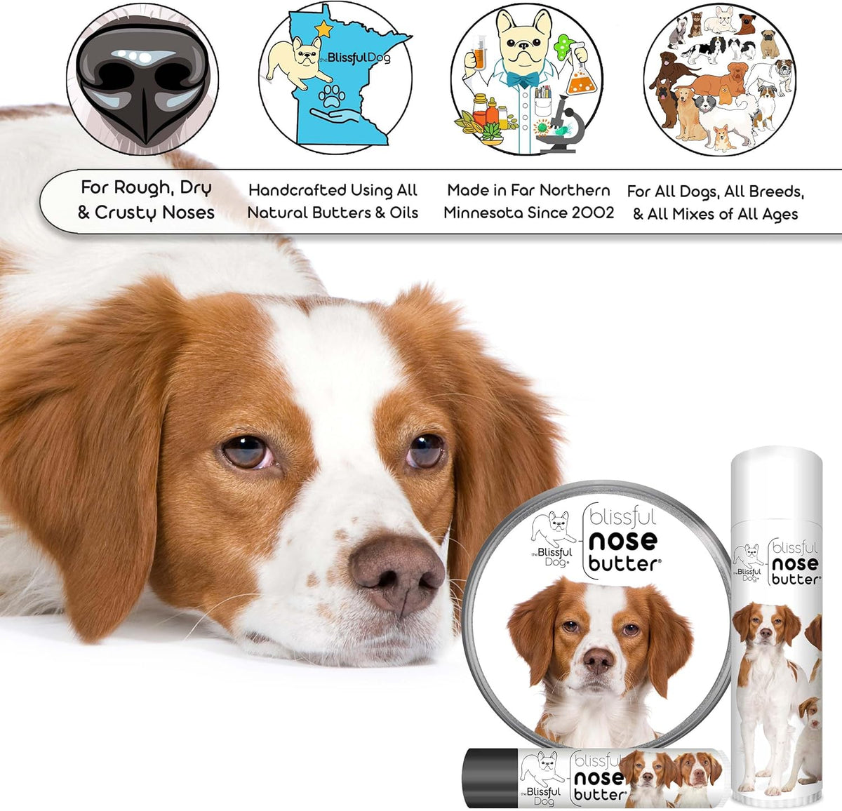 The Blissful Dog Brittany Spaniel Nose Butter for Dry, Cracked Skin, Lick-Safe Dog Nose Balm with
