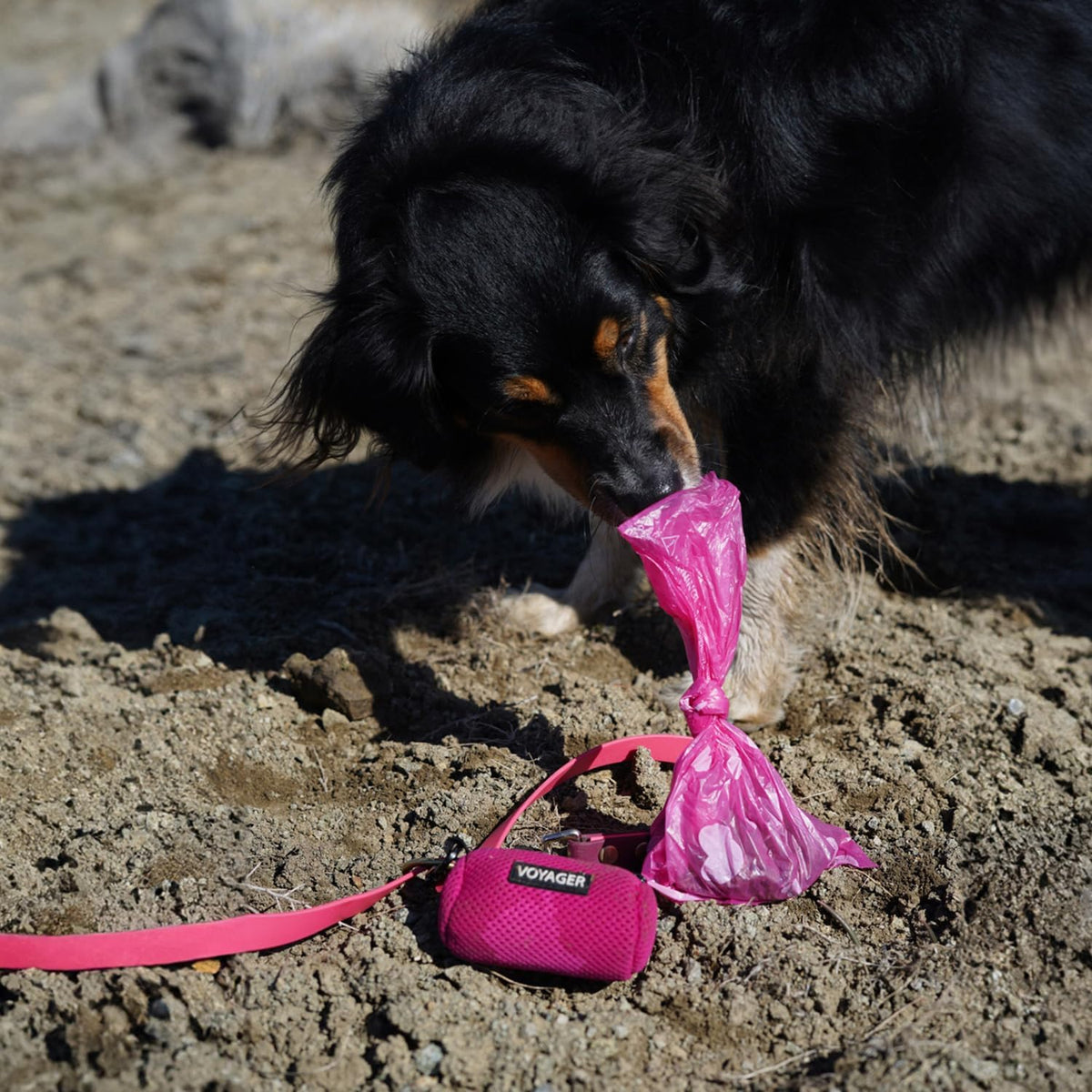 Best Pet Supplies Dog Poop Bags (240 Bags) for Waste Refuse Cleanup, Doggy Roll Replacements for