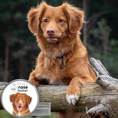 The Blissful Dog Nova Scotia Duck Tolling Retriever Unscented Nose Butter - Dog Nose Butter, 16