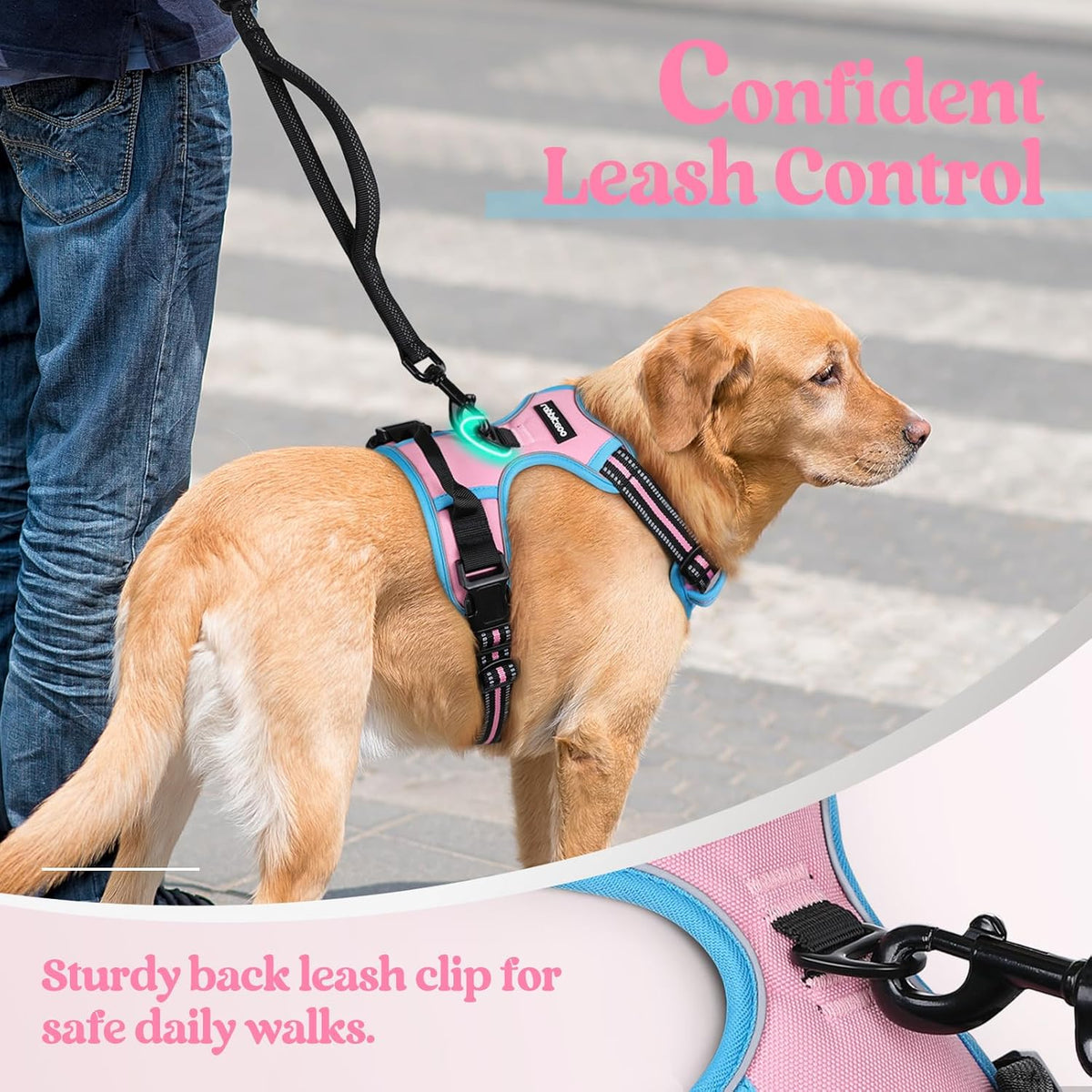 rabbitgoo Dog Harness No Pull with 2 Leash Clips, Adjustable Soft Padded, Reflective Oxford No