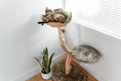 Wooden Cat Tree Tower, Modern Single Branch Cat Condo, Wood Cat Tree, Cat Climbing, Furniture for