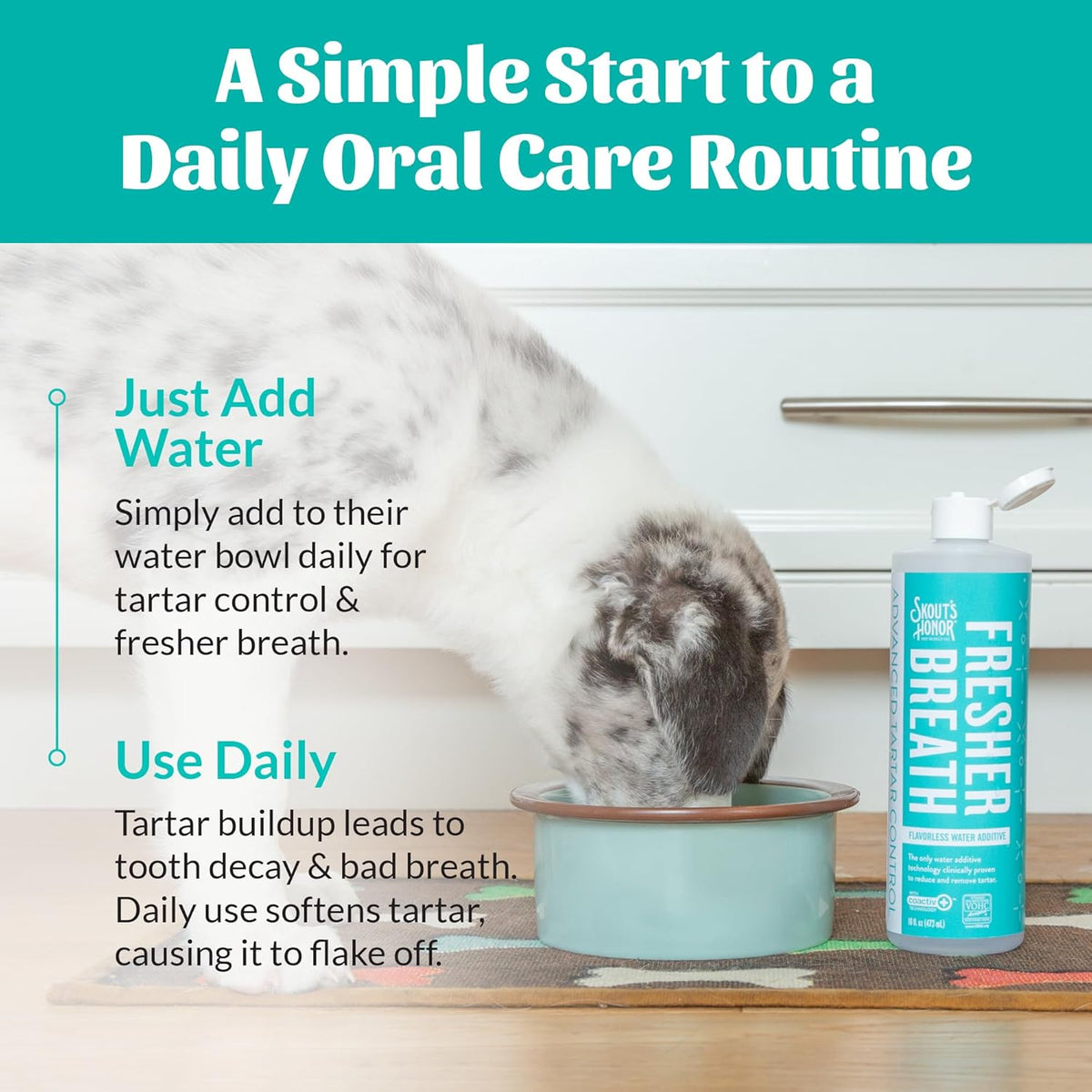 SKOUT'S HONOR Fresher Breath Water Additive for Pets - VOHC Accepted for Tartar Control, Freshens