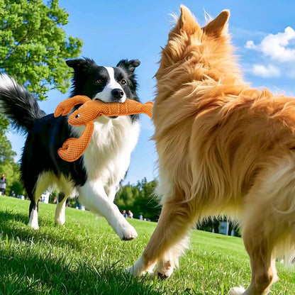 Squeaky Dog Toy No Stuffed Dog Toys,Lobster Puppy Toys for Small Medium Large Breed pups Teething