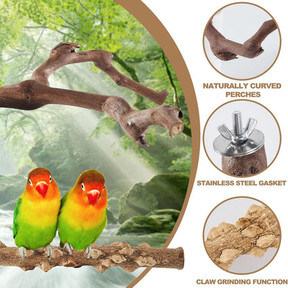 6-Piece Bird Perch Set - Natural Wood Grape Sticks, Paw Grinding Forks, Bird Stand & Toys for