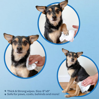 Best Pet Supplies Pet Wipes for Dogs - Dog Wipes Cleaning Deodorizing, or Coats, Ears, Paws