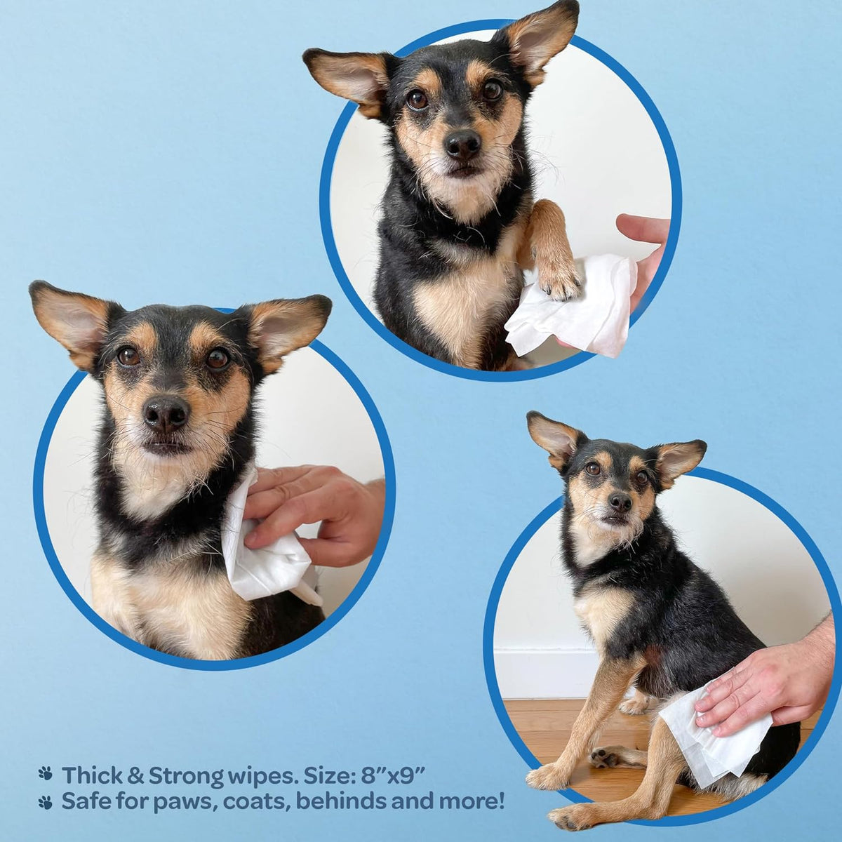 Best Pet Supplies Pet Grooming Wipes for Dogs & Cats,Deodorizer for Coats & Dry, Itchy, or