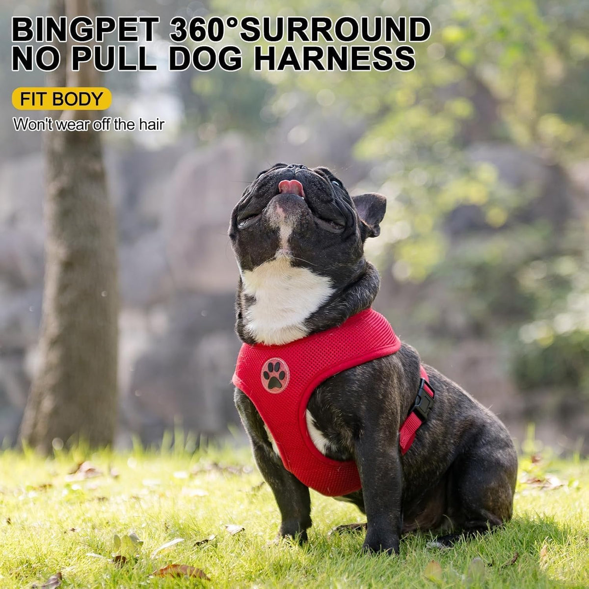 BINGPET No Pull Dog Harness for Small Medium Dogs,All Weather Mesh Step in Vest Harness for Small