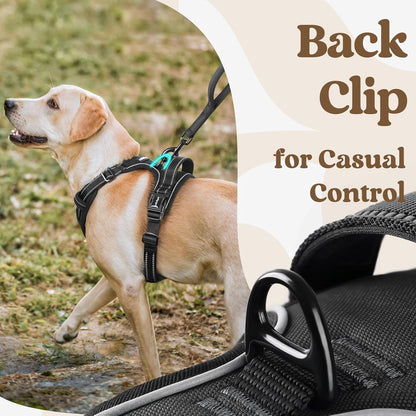 rabbitgoo Dog Harness for Large, No Pull Pet Harness with 3 Buckles, Adjustable Soft Padded Vest