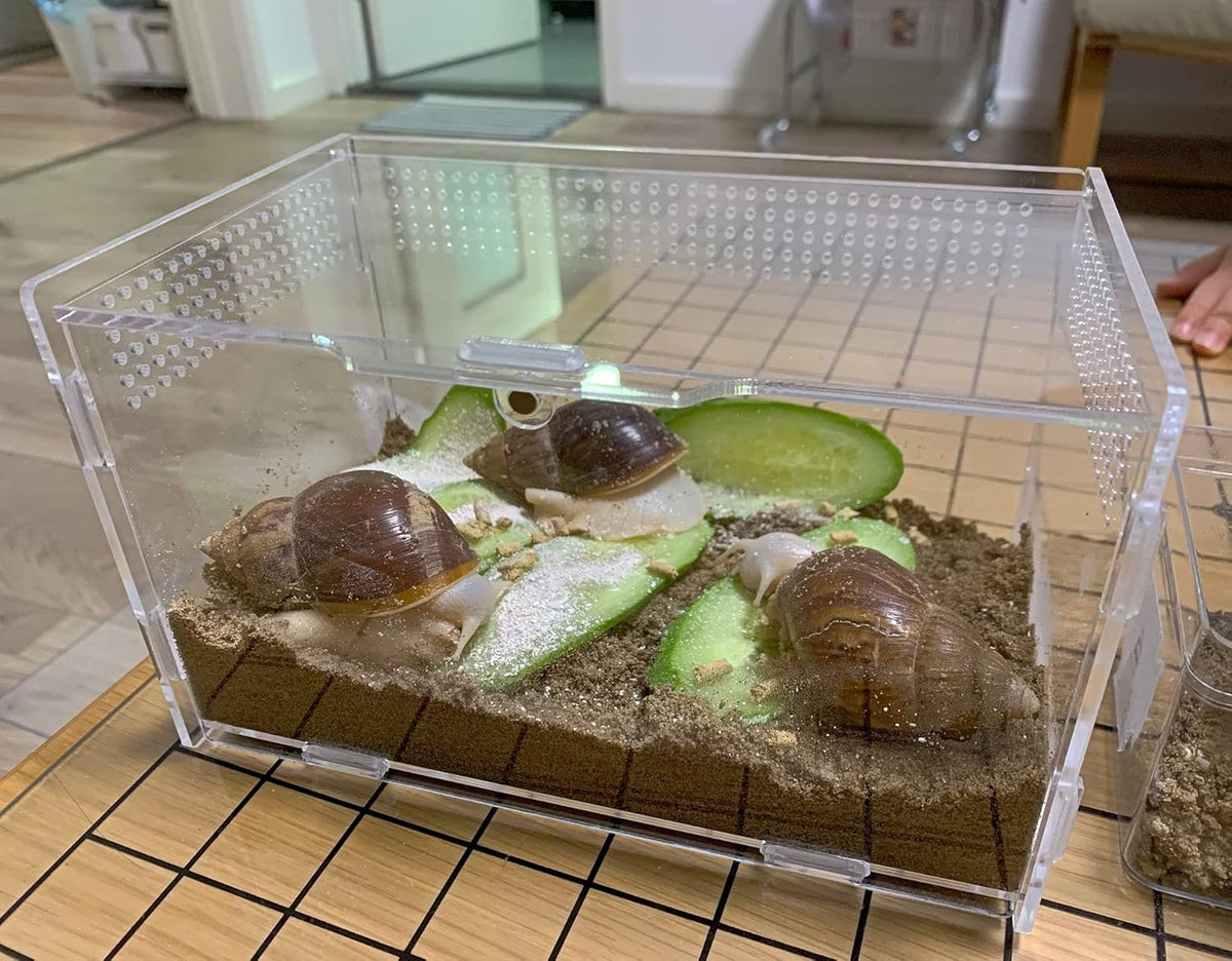 Magnetic Acrylic Case, micro habitat small Tarantula Enclosure enclosure for arboreal Tarantula