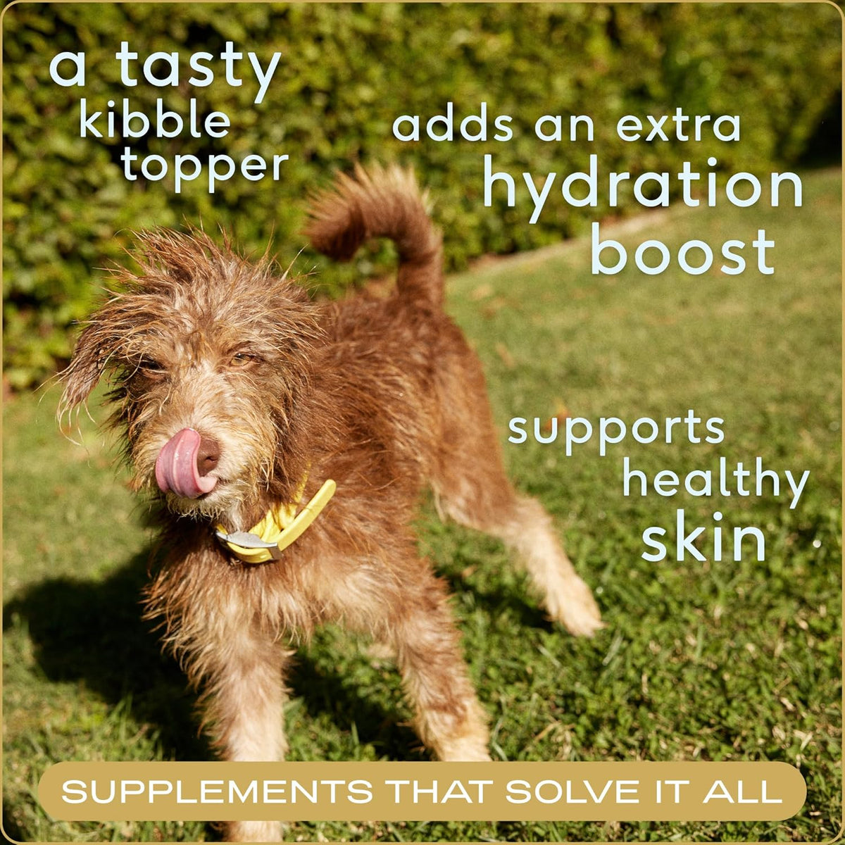 Native Pet Bone Broth for Dogs and Cats - Made with Real Beef Bone Broth, Dog Food Toppers for