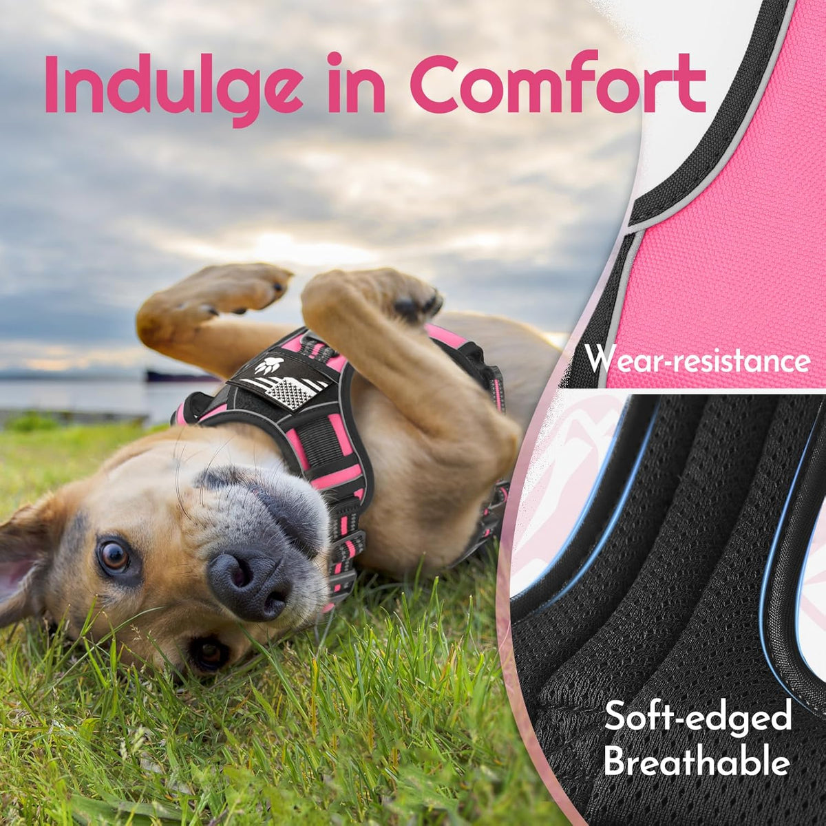 Eagloo Dog Harness for Large Dogs, Easy Wearing with 3 Buckles, Adjustable No Pull Pet Harness with