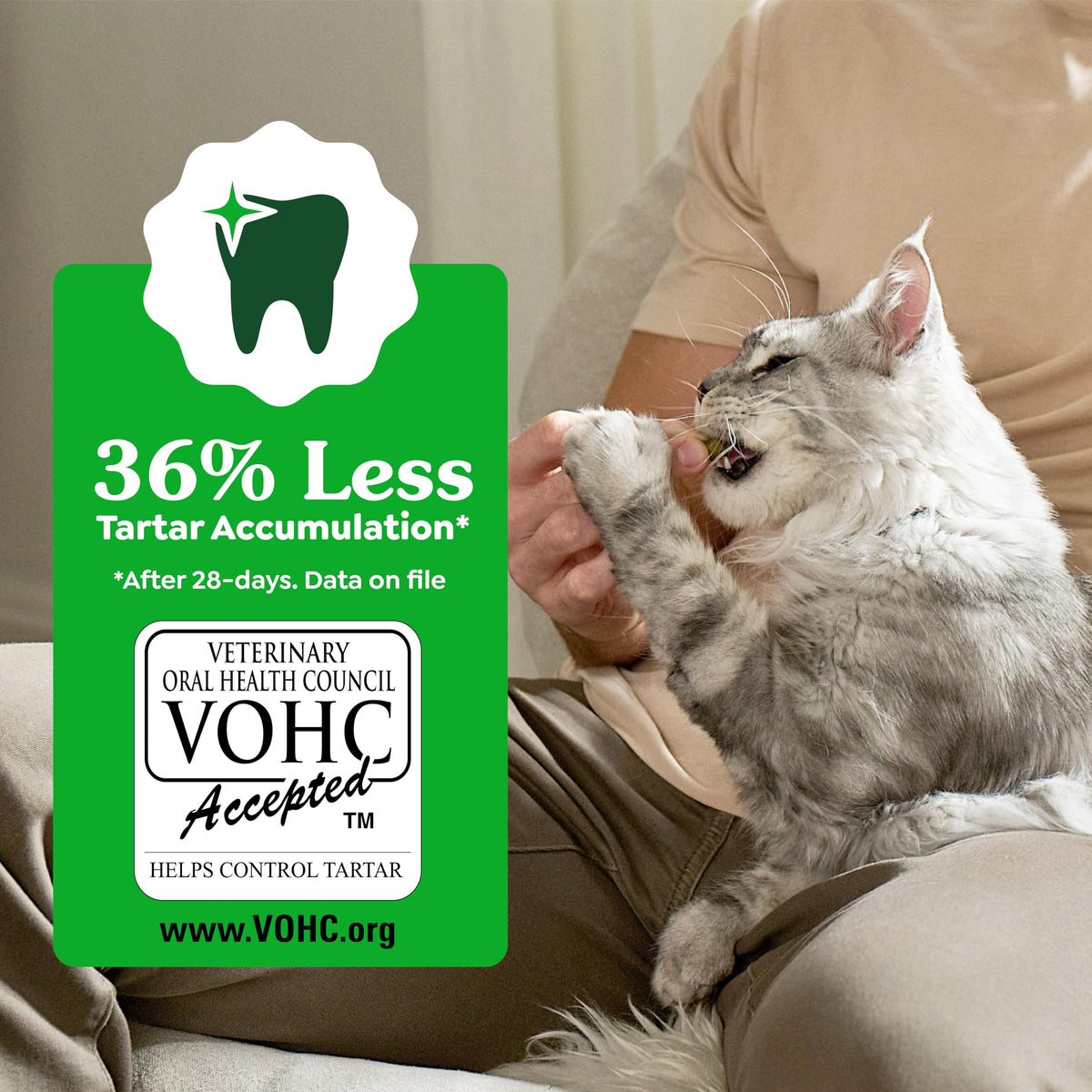 Greenies Feline Natural Dental Cat Treats. Chosen for real quality, fits naturally into modern pet