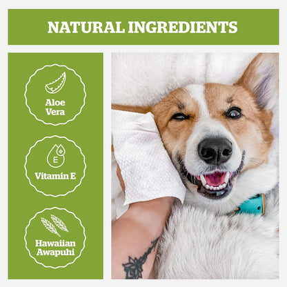 Pogi’s Dog Wipes Travel Packs – Hypoallergenic Pet Wipes for Paws, Body & Butt – Cleaning &