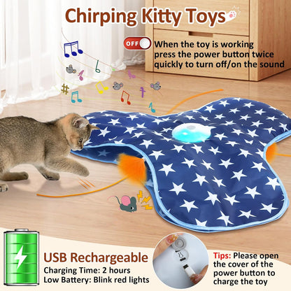 Interactive Cat Toy Rechargeable, Cat Exercise Toys for Indoor Bored Adult Cats, Hide and Seek Toy