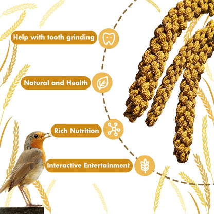 Jmxu's 2LB Spray Millet Treat for Birds Parakeets, Natural Sun-Dried Birds Millet for Cockatiel
