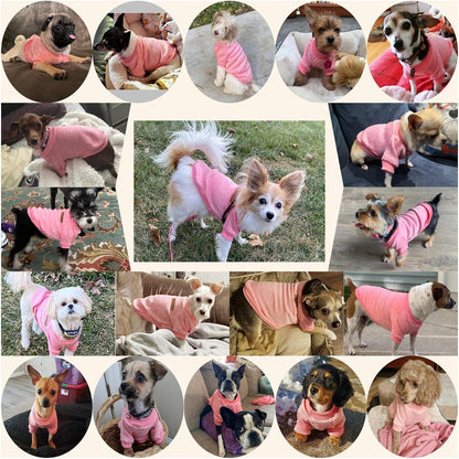 Jecikelon Dog Clothes Dogs Sweater Soft Puppies Clothing Winter Puppy Sweaters Warm Outfit for Dogs