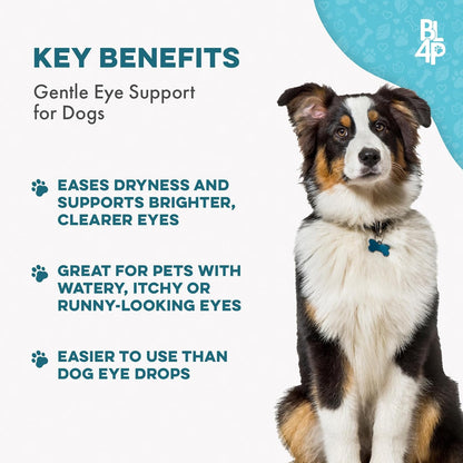 Dog Eye Care & Infection Treatment, Natural Dog Supplements for Conjunctivitis, Swelling, Dry Eyes
