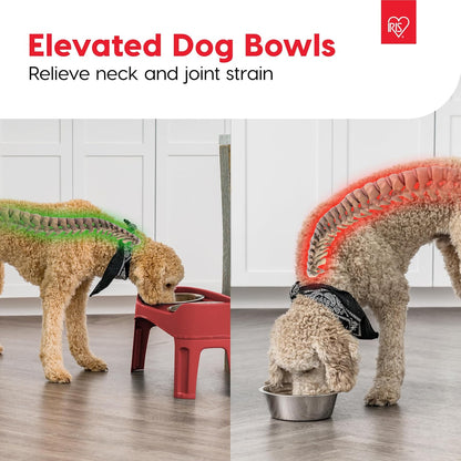 IRIS USA Elevated Dog Bowls, Adjustable Height, 2 Thick 64 oz Stainless Steel Bowls, Spill-Proof