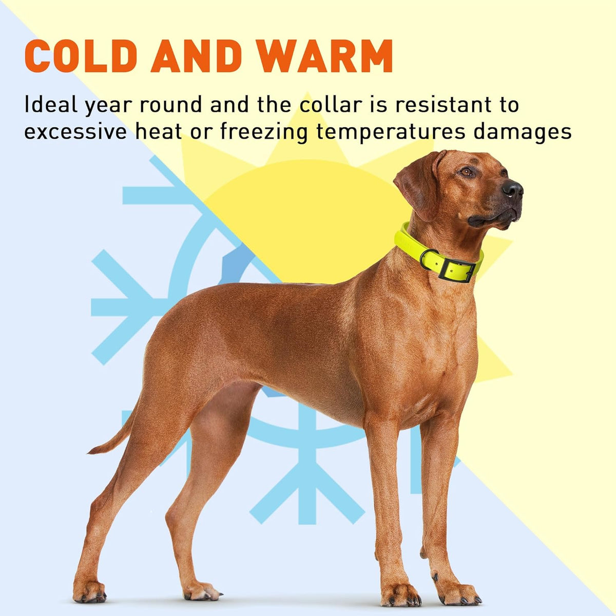 Dogline Biothane Waterproof Dog Collar Strong Coated Nylon Webbing with Black Hardware Odor- Proof