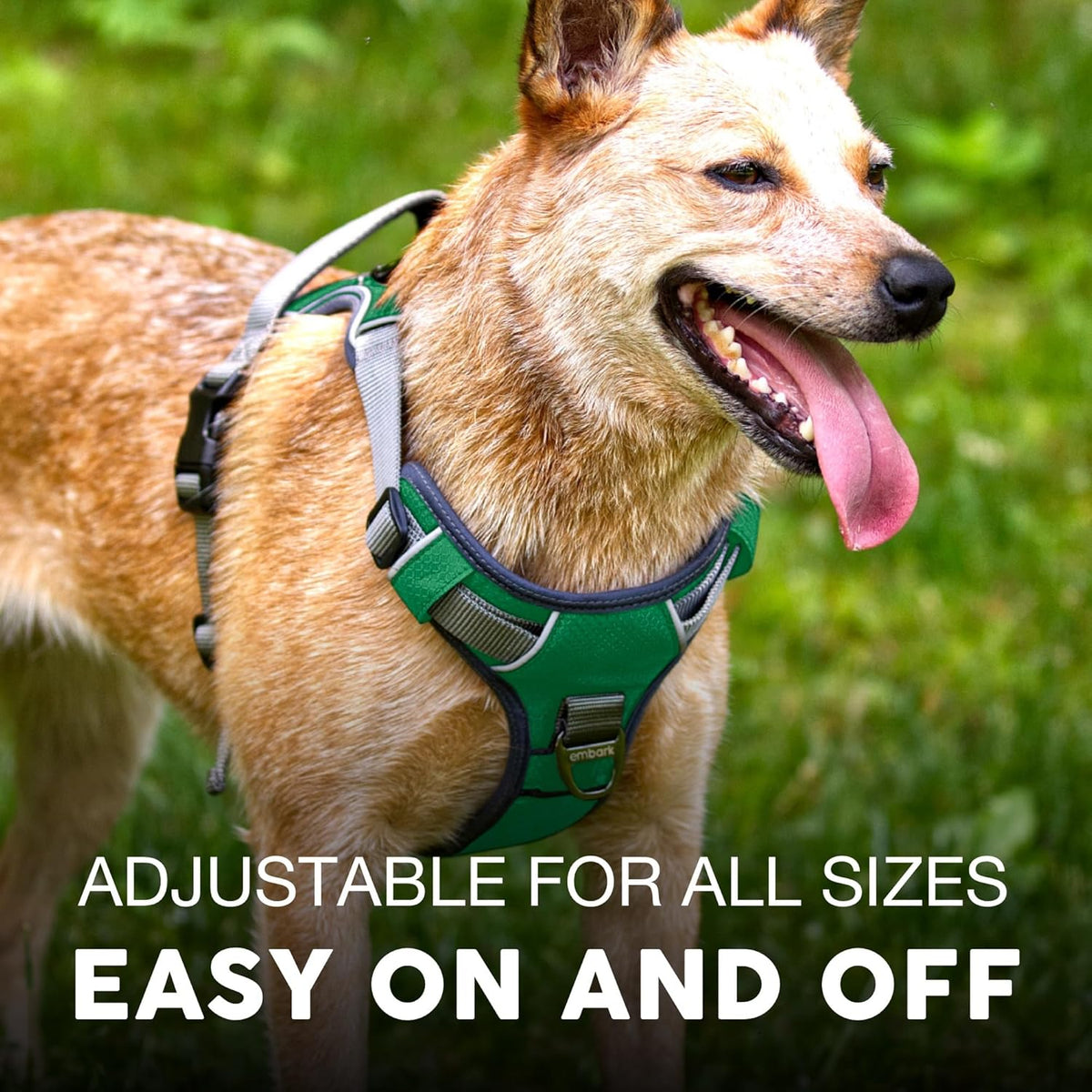 Embark Adventure Dog Harness, Reflective Trim No Pull Dog Harness for Large Dogs - Military Grade
