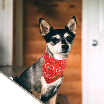 Realeaf Valentine's Day Dog Bandanas 2 Pack, Reversible Heart Dog Scarf for Boy and Girl, Premium