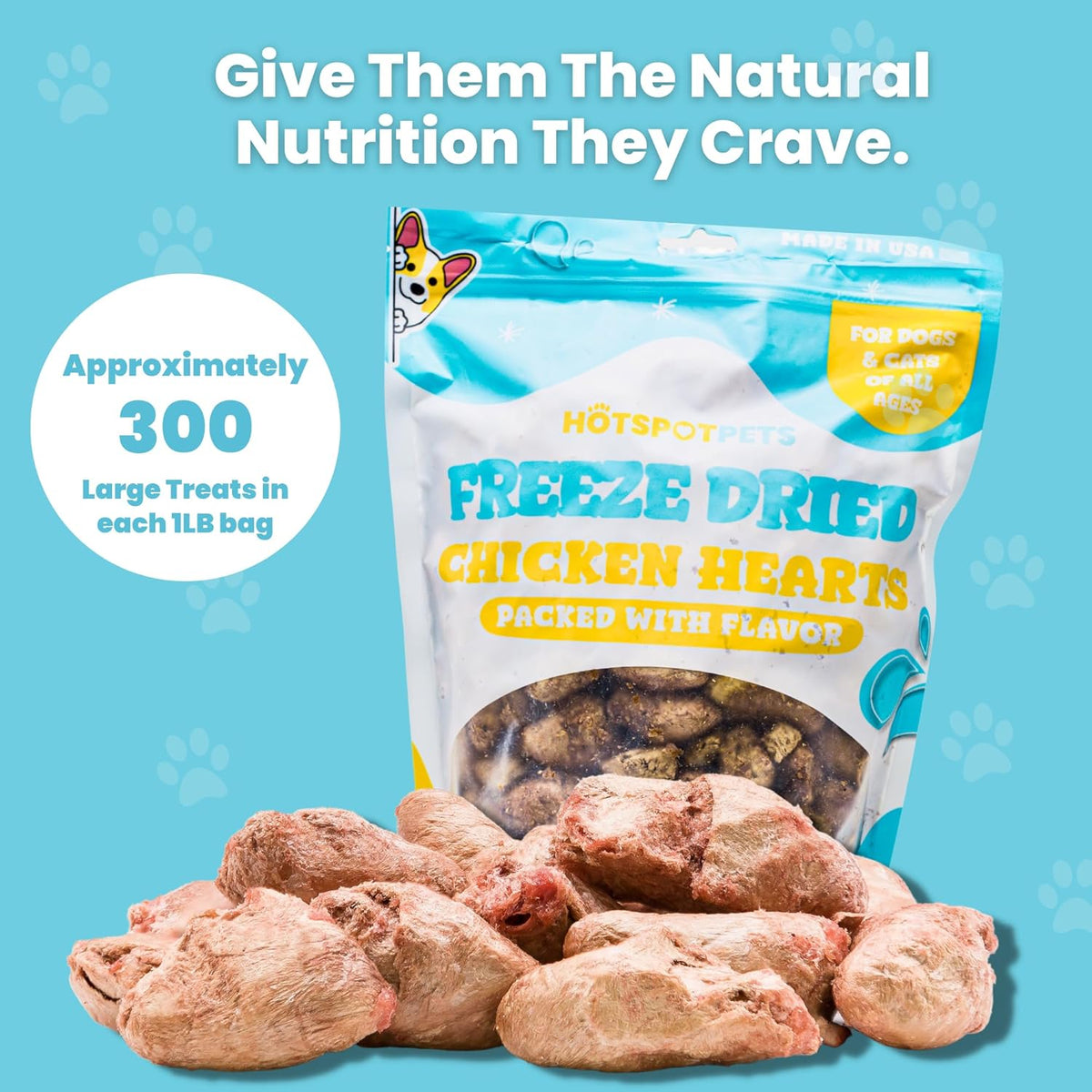 hotspot pets Freeze Dried Chicken Hearts for Cats & Dogs - 1LB BIG BAG- Made in USA -Single