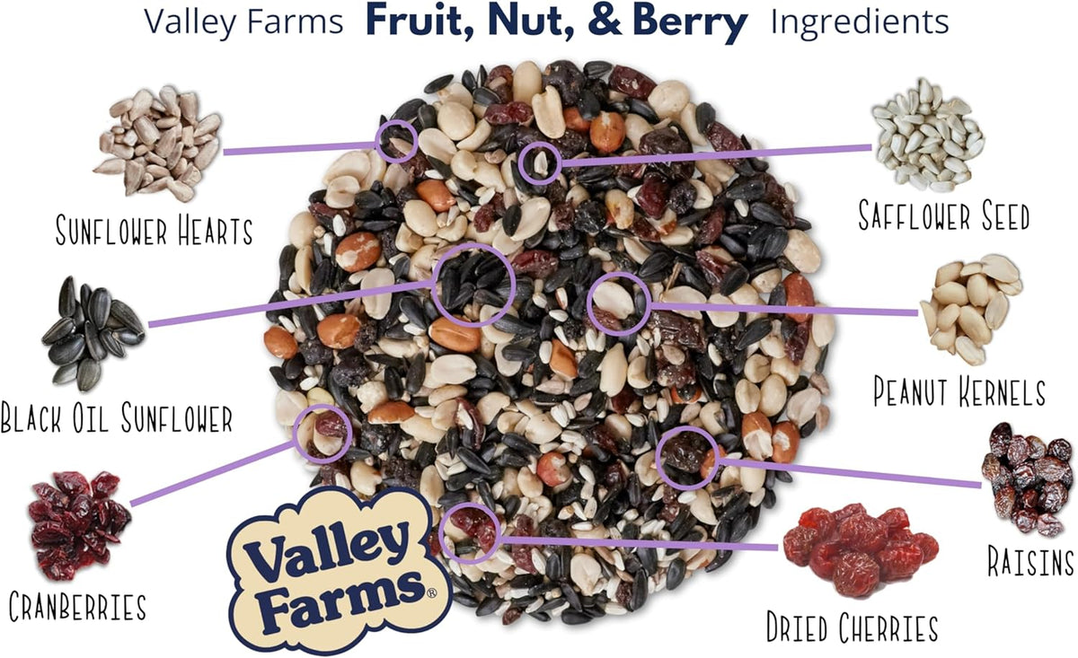 Valley Farms Fruit Nut & Berry Wild Bird Food for Outside Feeders, Bird Seed with Dried Fruit