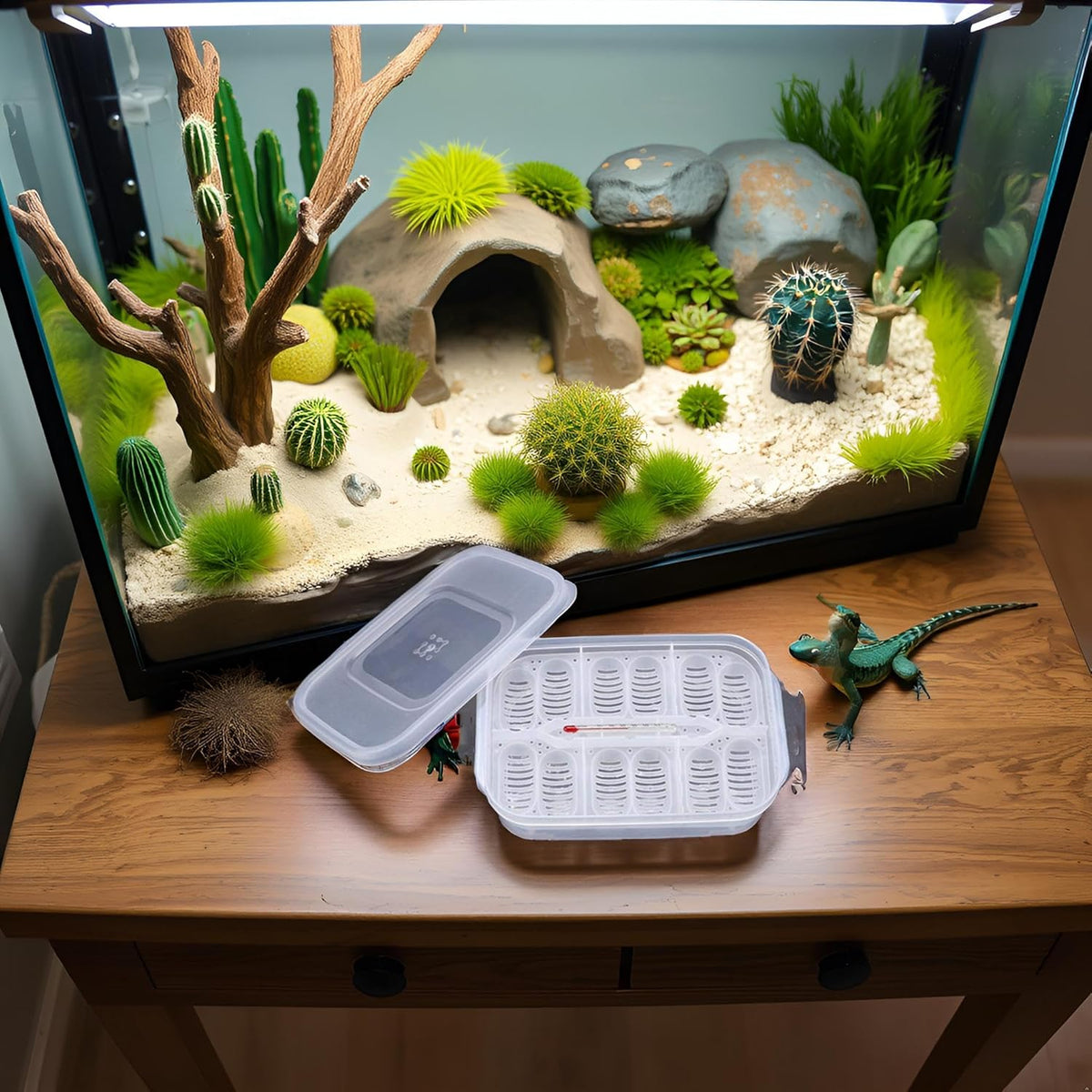 Zerodis Reptile Breeding Box, Plastic Incubator with Transparent Lid for Hatching Gecko, Lizards
