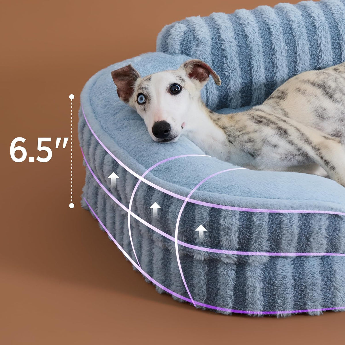 LE SURE Cute Dog Bed Medium Size Dog, Orthopedic Waterproof Medium Pet Beds with Sides, Non-Slip