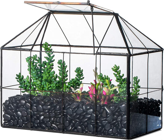 NCYP Glass Terrarium Planter with Lid for Small Succulent Cacti, Grid House Shape Black Geometric
