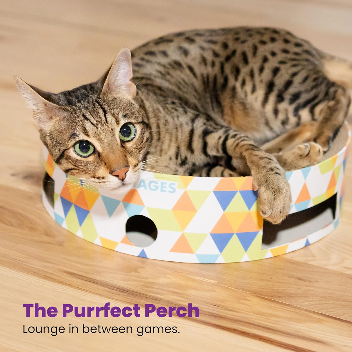 Catstages Bowl Track Scratcher Cat Ball-Track Toy, Corrugated Scratch, and Lounger All-in-One, Two