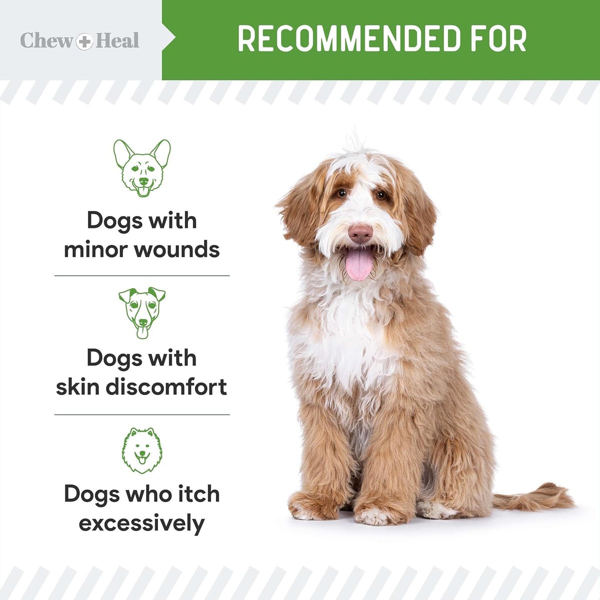 Hypochlorous Acid Spray for Dogs ??4oz Dog Wound Spray for Cuts, Burns, Sores, Abrasions, and More