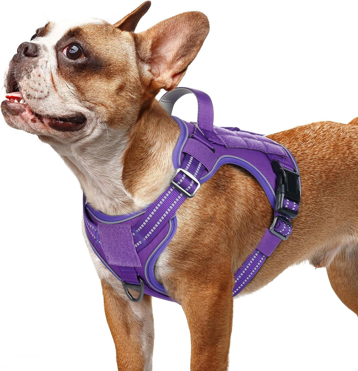 rabbitgoo Dog Harness Small Sized No Pull, Tactical Service Pet Vest with Molle and Control Handle